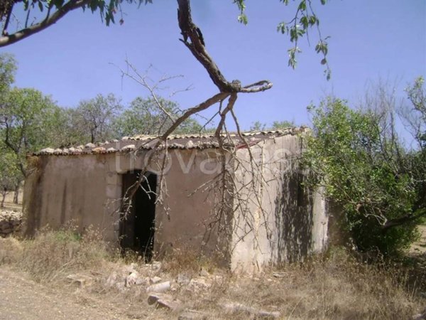 casa indipendente in vendita a Noto in zona Vendicari