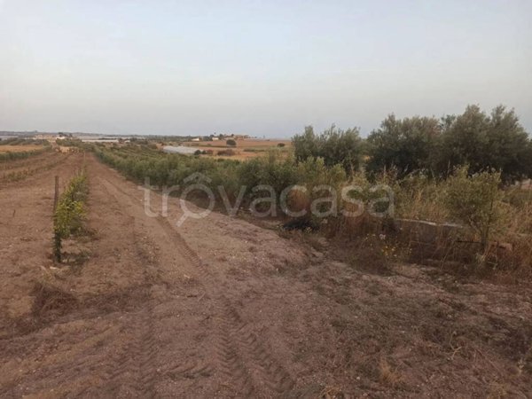 casa indipendente in vendita a Noto