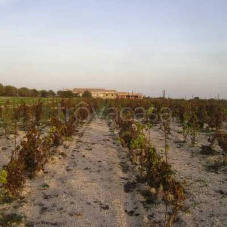 terreno agricolo in vendita a Noto in zona Vendicari
