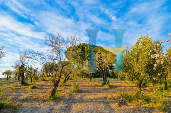 casa indipendente in vendita a Noto in zona Vendicari