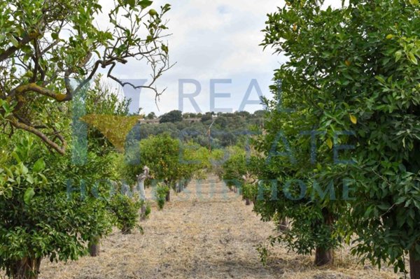 terreno agricolo in vendita a Noto in zona San Lorenzo