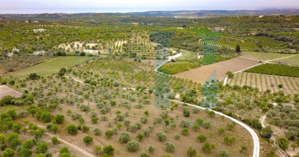 terreno agricolo in vendita a Noto in zona Vendicari