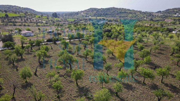 terreno agricolo in vendita a Noto