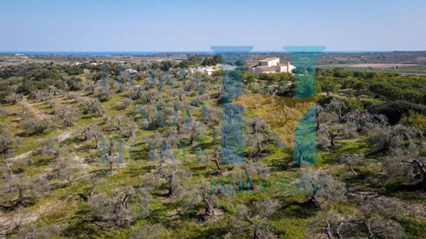 terreno agricolo in vendita a Noto