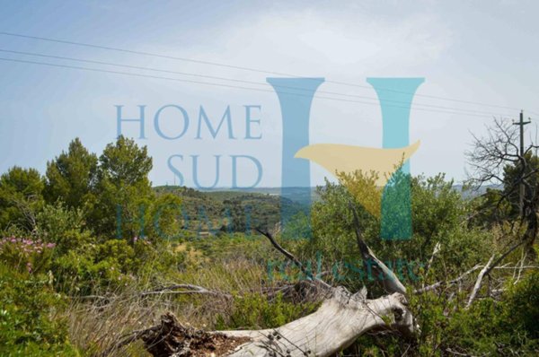 terreno agricolo in vendita a Noto