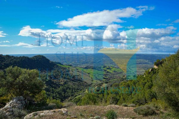 terreno agricolo in vendita a Noto