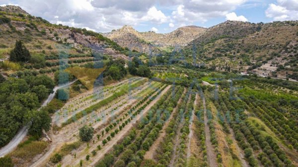terreno agricolo in vendita a Noto