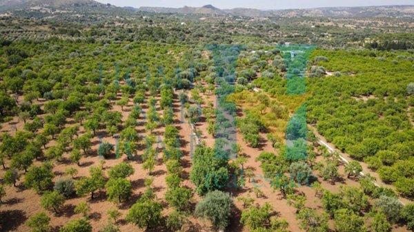 casa indipendente in vendita a Noto in zona Vendicari