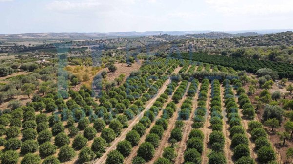 casa indipendente in vendita a Noto