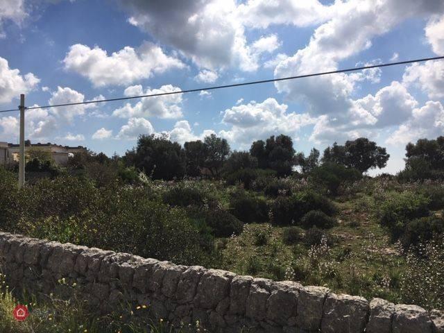 terreno agricolo in vendita a Noto