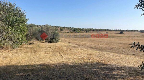 terreno agricolo in vendita a Noto