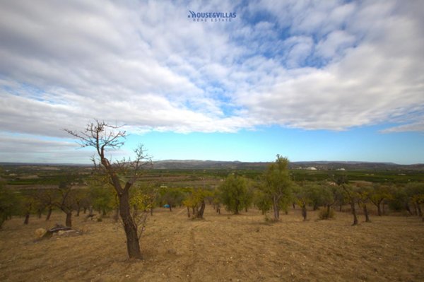 negozio in vendita a Noto