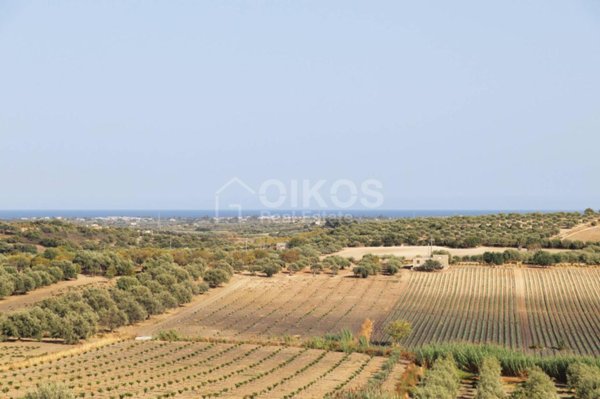 terreno agricolo in vendita a Noto