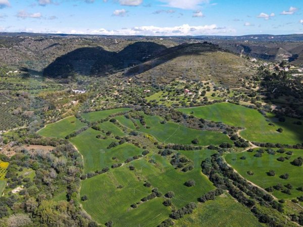 terreno agricolo in vendita a Noto