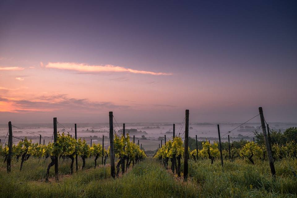 azienda agricola in vendita a Noto