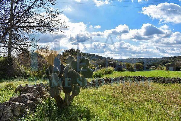 terreno edificabile in vendita a Noto in zona Vendicari