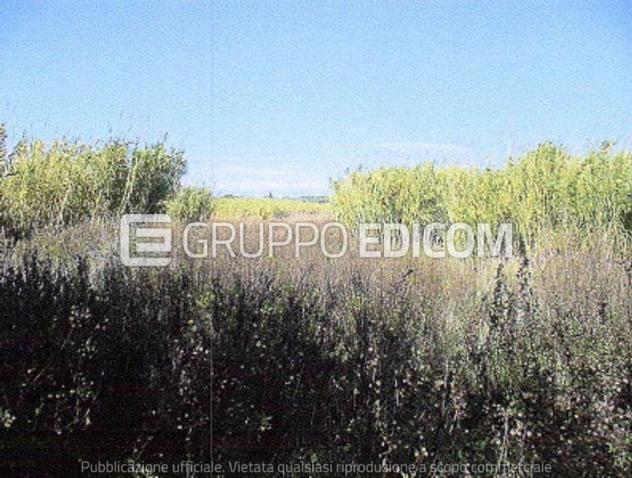 terreno agricolo in vendita a Noto