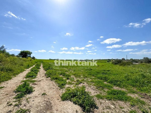 terreno agricolo in vendita a Noto in zona San Lorenzo