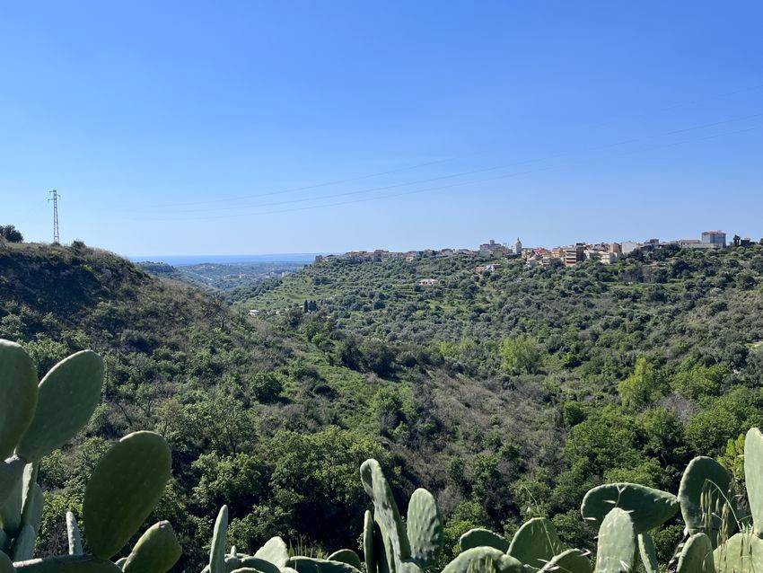 terreno agricolo in vendita a Noto