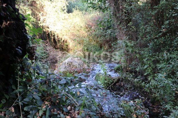 terreno agricolo in vendita a Noto