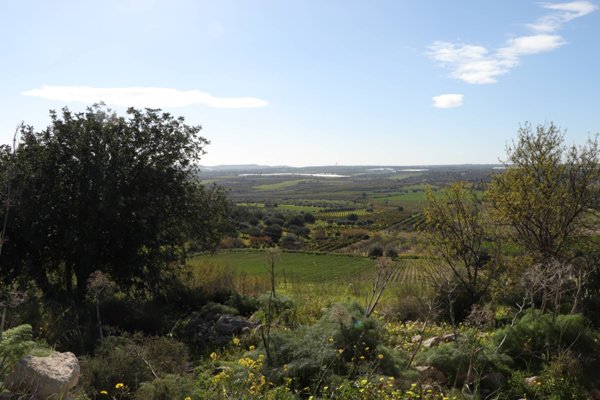 terreno agricolo in vendita a Noto