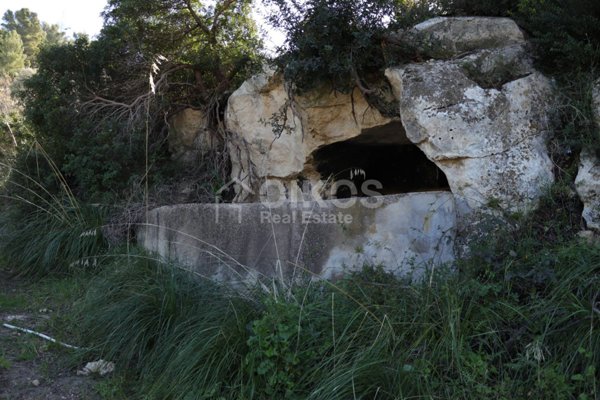 terreno agricolo in vendita a Noto
