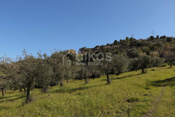 terreno agricolo in vendita a Noto