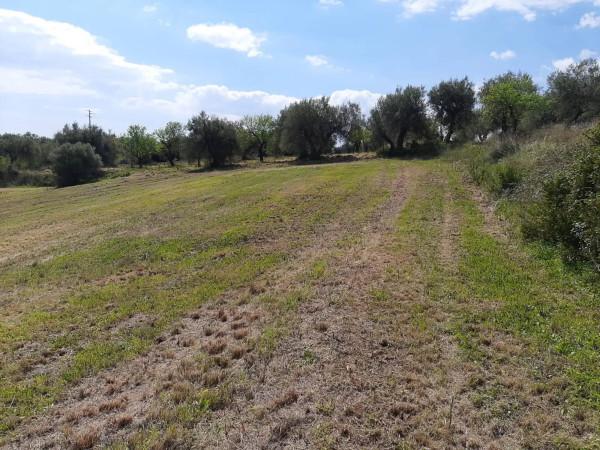 negozio in vendita a Noto