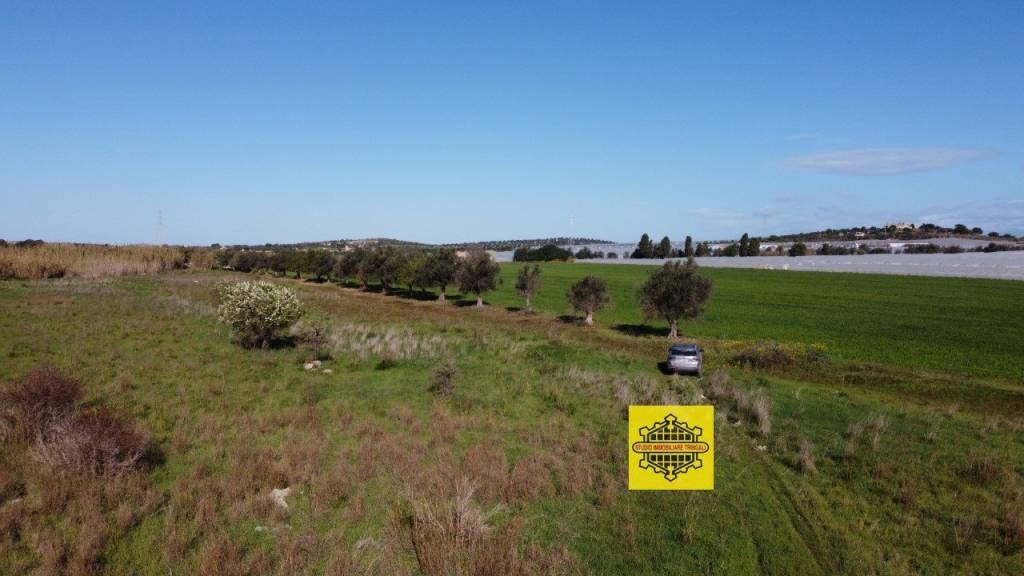 terreno agricolo in vendita a Noto