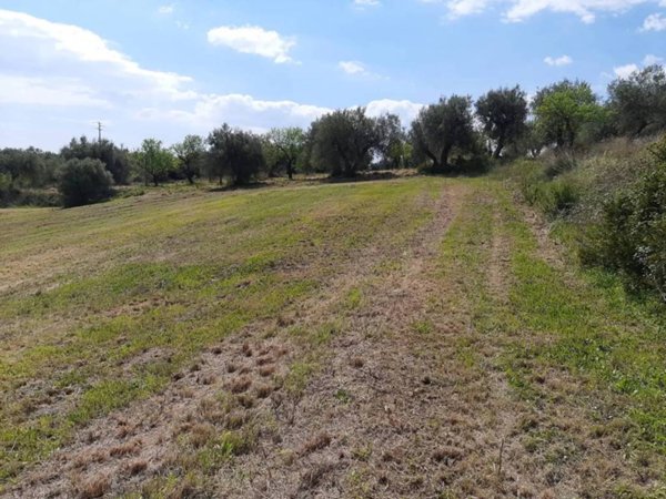 terreno agricolo in vendita a Noto