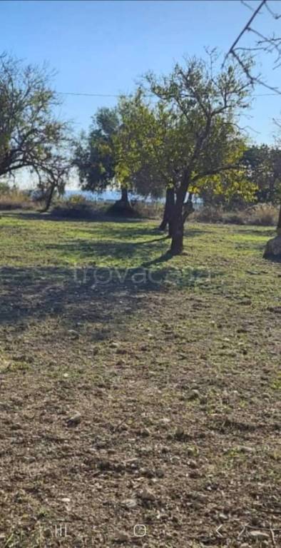 terreno agricolo in vendita a Noto in zona Lido di Noto