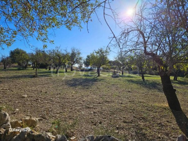 terreno agricolo in vendita a Noto in zona Lido di Noto