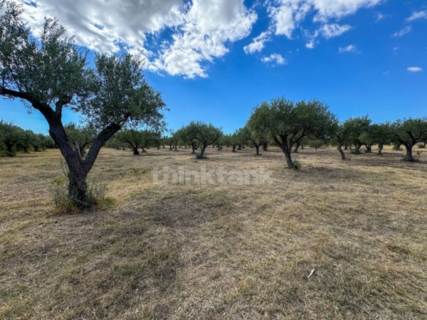 casa indipendente in vendita a Noto