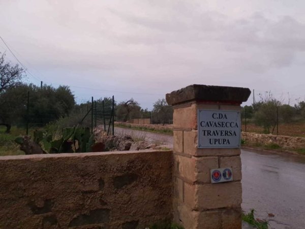 terreno agricolo in vendita a Noto