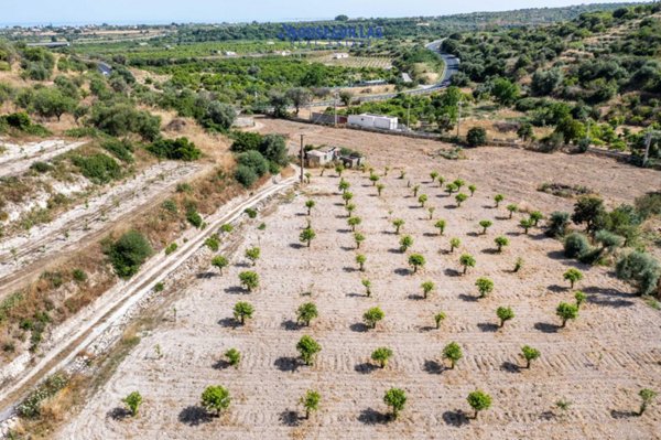 terreno agricolo in vendita a Noto