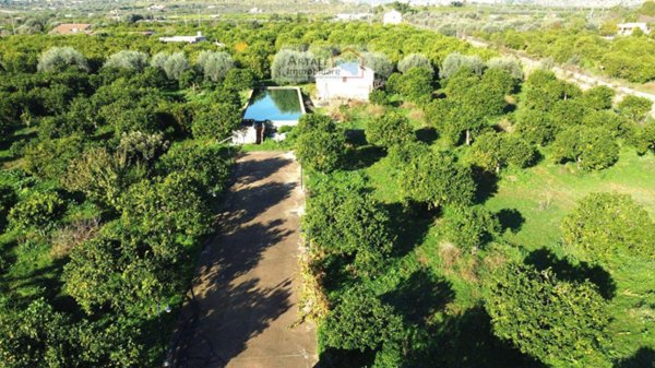 negozio in vendita a Noto