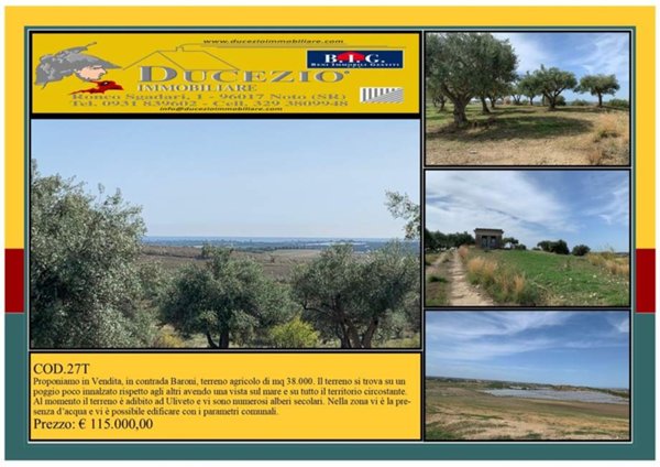 terreno agricolo in vendita a Noto