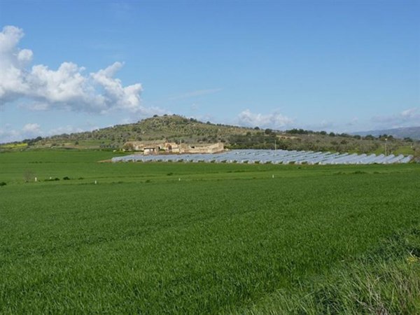 terreno agricolo in vendita a Noto