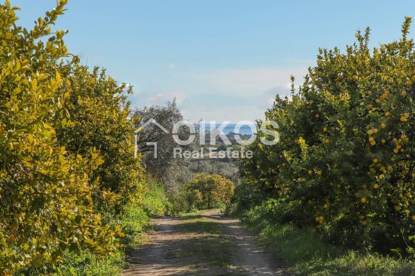 terreno agricolo in vendita a Noto in zona Lido di Noto