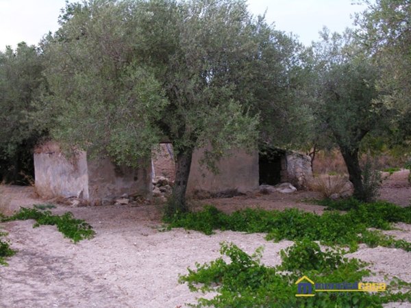 terreno agricolo in vendita a Noto