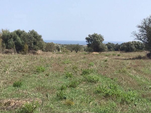 terreno agricolo in vendita a Noto