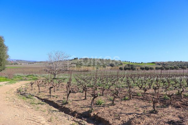 casa indipendente in vendita a Noto