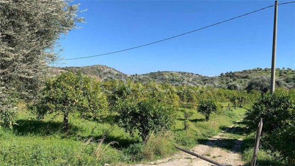 terreno agricolo in vendita a Noto