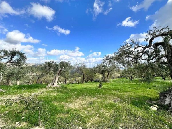 terreno agricolo in vendita a Noto in zona Lido di Noto