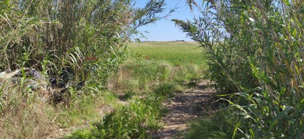 terreno agricolo in vendita a Noto