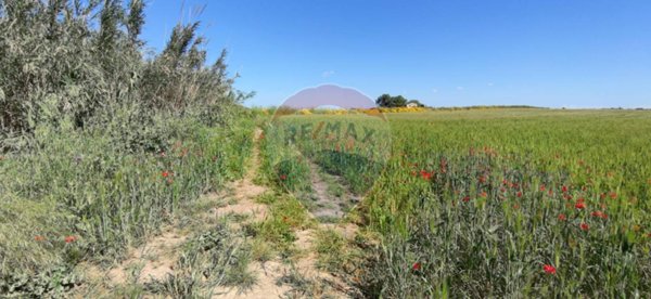 terreno agricolo in vendita a Noto
