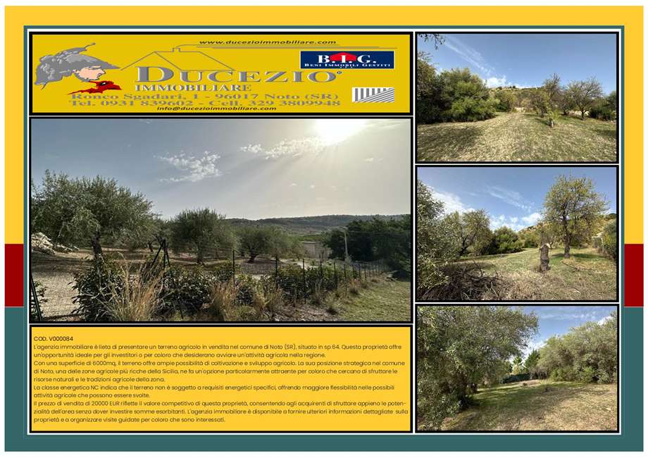 terreno agricolo in vendita a Noto