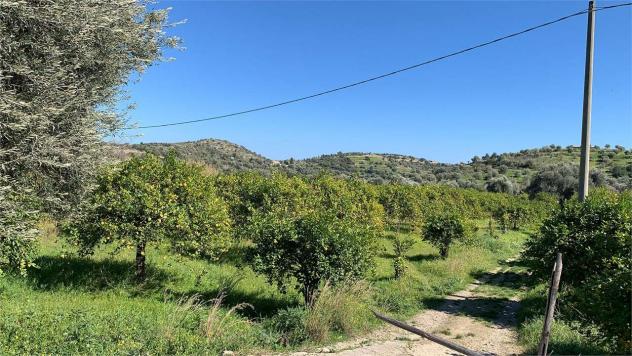 terreno agricolo in vendita a Noto