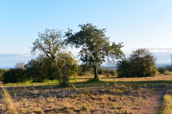 terreno agricolo in vendita a Noto in zona Lido di Noto