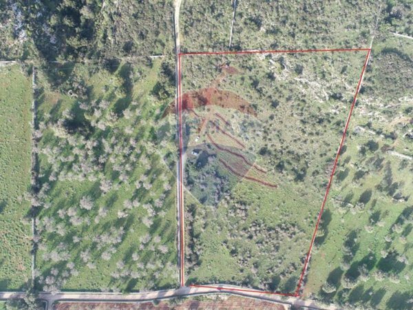 terreno agricolo in vendita a Noto